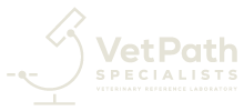 Vet Path  Specialists